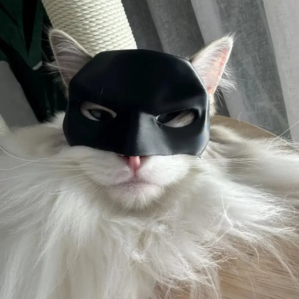 Black Cat Bat Cool Man Mask Avenger Cute Superhero Pet Hat Bat Matte Man Mask For Cat And Dog Halloween Cosplay Decoration Gifts