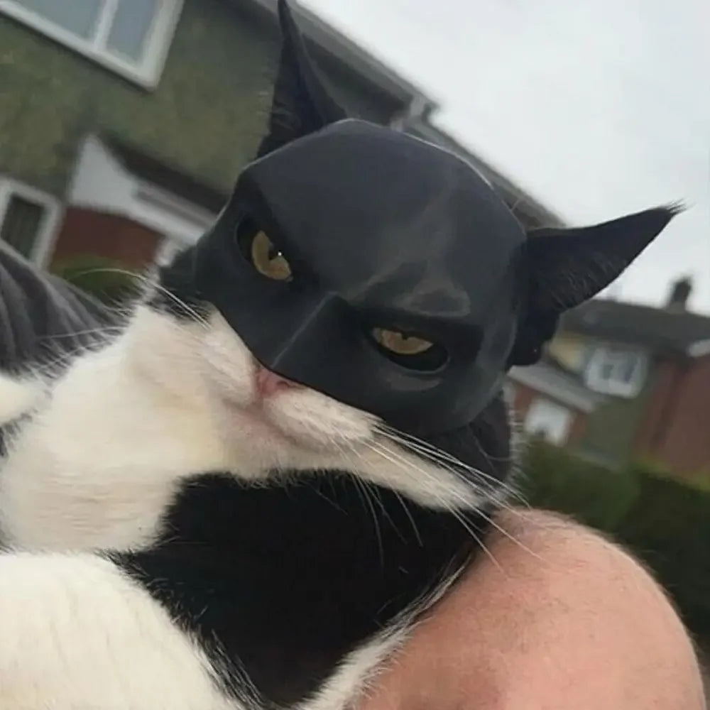 Black Cat Bat Cool Man Mask Avenger Cute Superhero Pet Hat Bat Matte Man Mask For Cat And Dog Halloween Cosplay Decoration Gifts